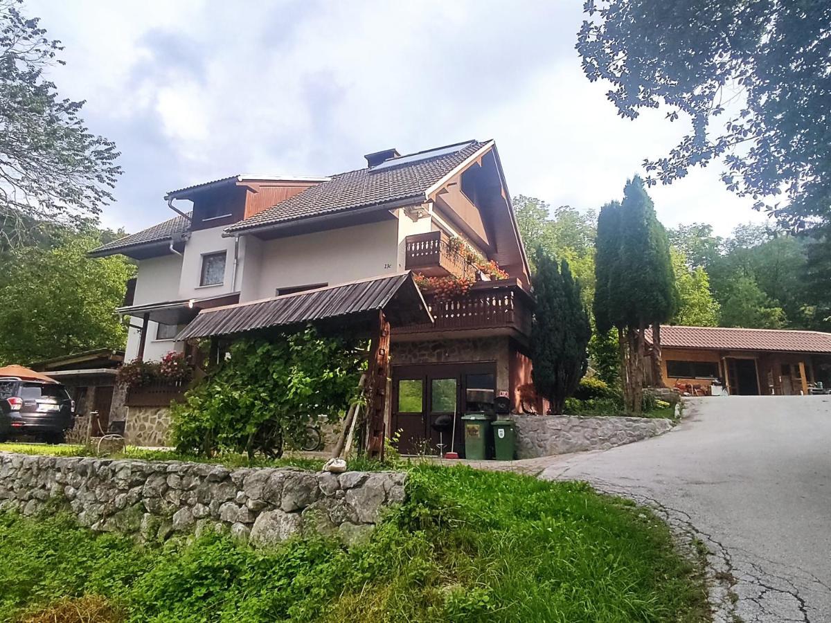 Fantastic Apartment Brglez Bohinjska Bela Eksteriør bilde