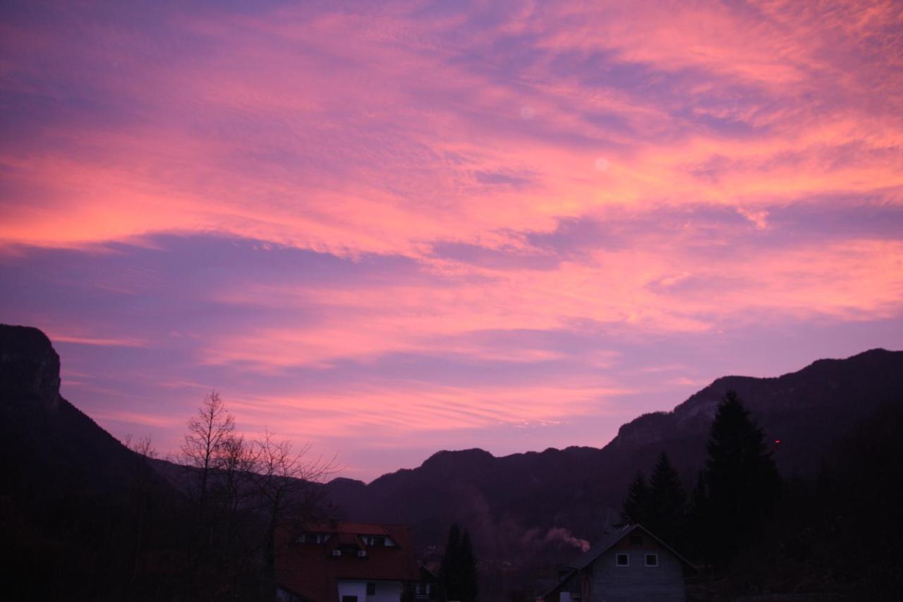 Fantastic Apartment Brglez Bohinjska Bela Eksteriør bilde