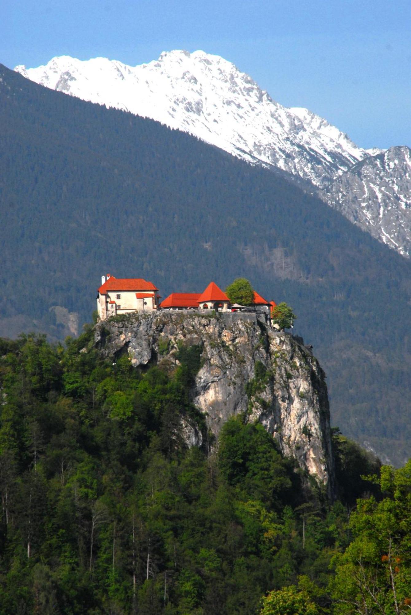 Fantastic Apartment Brglez Bohinjska Bela Eksteriør bilde